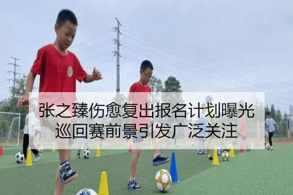张之臻伤愈复出报名计划曝光 巡回赛前景引发广泛关注